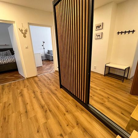 Apartman Visek Jachymov Εξωτερικό φωτογραφία