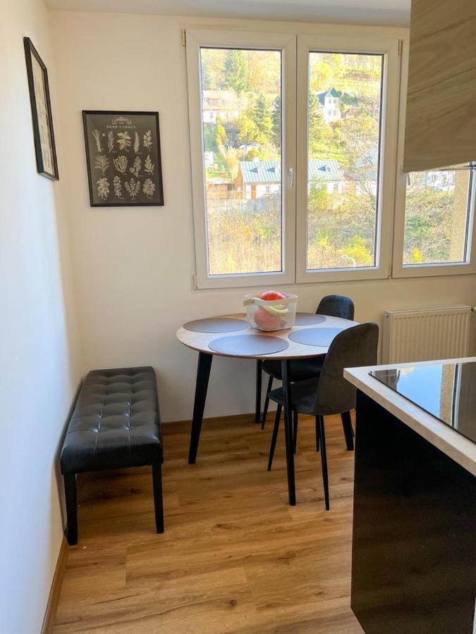 Apartman Visek Jachymov Εξωτερικό φωτογραφία