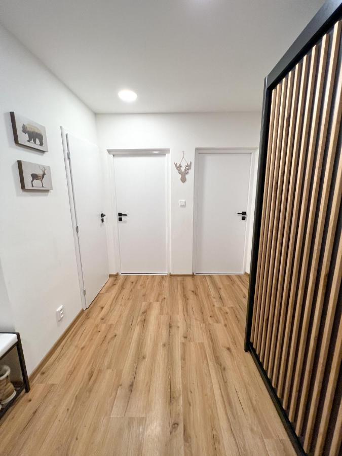 Apartman Visek Jachymov Εξωτερικό φωτογραφία