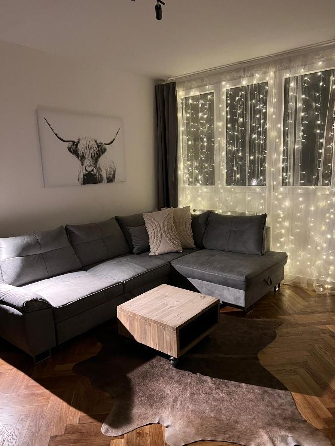 Apartman Visek Jachymov Εξωτερικό φωτογραφία