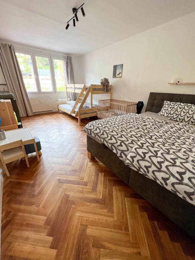 Apartman Visek Jachymov Εξωτερικό φωτογραφία