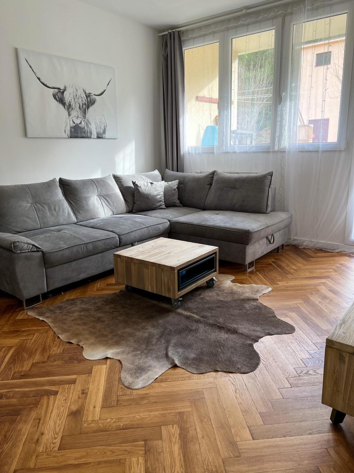 Apartman Visek Jachymov Εξωτερικό φωτογραφία